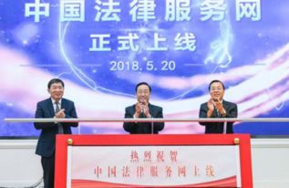 中國法律服務網上線首日運行平穩，法律咨詢服務深受群眾歡迎